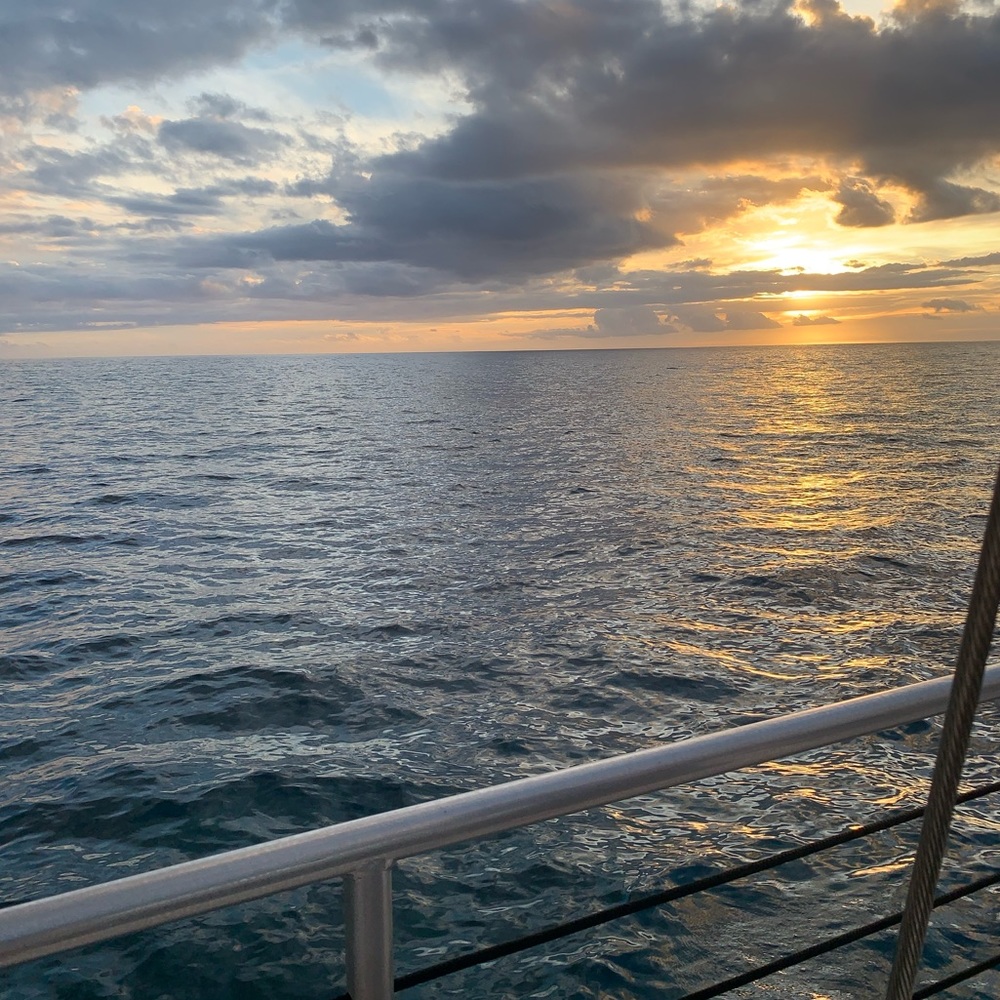 Meet your Posher, Sydney